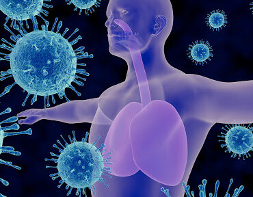 Bağışıklık Sistemini Güçlendiren Besinler Nelerdir?