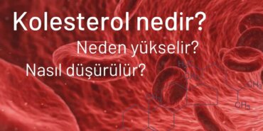 Kolesterol nedir? Kolesterol Belirtileri Nelerdir?
