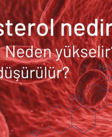 Kolesterol nedir? Kolesterol Belirtileri Nelerdir?