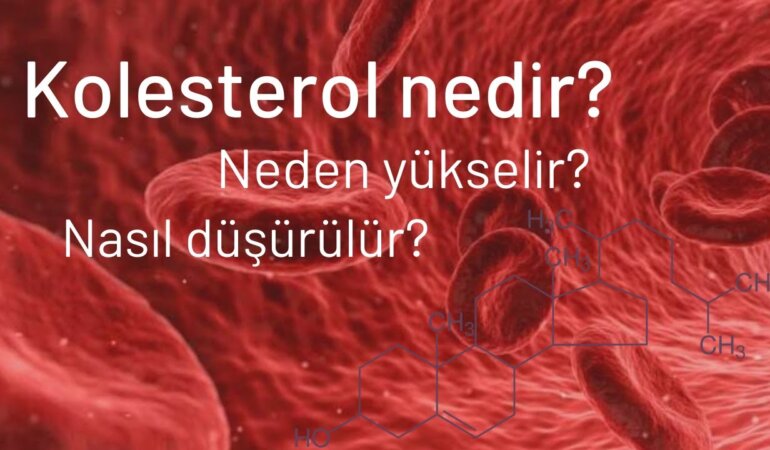Kolesterol nedir? Kolesterol Belirtileri Nelerdir?