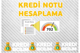 Kredi Notu Öğrenme Kredi Risk Puanı Hesaplama