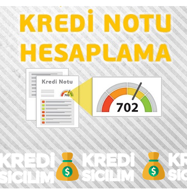 Kredi Notu Öğrenme Kredi Risk Puanı Hesaplama