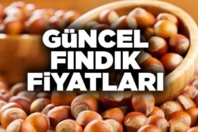 Fındık fiyatları ne kadar
