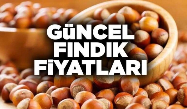 Fındık fiyatları ne kadar
