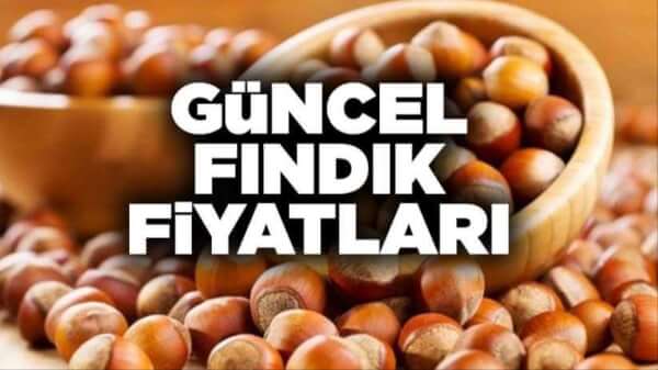 Fındık fiyatları ne kadar