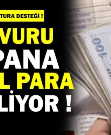 Elektrik Fatura Desteği Başvurusu Nasıl Yapılır