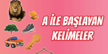 A Harfi İle Başlayan Kelimeler ve Anlamları