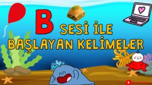 B Harfi İle Başlayan Eş Anlamlı Kelimeler, Anlamları