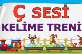 Ç Harfi İle Başlayan Eş Anlamlı Kelimeler, Anlamları