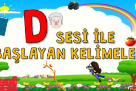 D Harfi İle Başlayan Eş Anlamlı Kelimeler, Anlamları