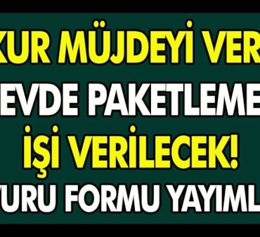 Evlere Paketleme İşi Veren Firmalar Firmaların Telefon Numaraları