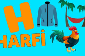 H Harfi İle Başlayan Eş Anlamlı Kelimeler, Anlamları