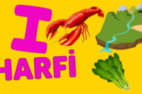 I Harfi İle Başlayan Eş Anlamlı Kelimeler, Anlamları