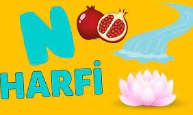 N Harfi İle Başlayan Eş Anlamlı Kelimeler, Anlamları