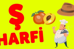 Ş Harfi İle Başlayan Eş Anlamlı Kelimeler, Anlamları