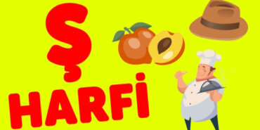 Ş Harfi İle Başlayan Eş Anlamlı Kelimeler, Anlamları