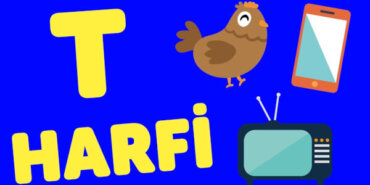 T Harfi İle Başlayan Eş Anlamlı Kelimeler, Anlamları