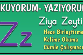 Z Harfi İle Başlayan Eş Anlamlı Kelimeler, Anlamları