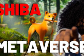 Shiba Coin geleceği!Shiba Inu Metaverse
