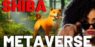 Shiba Coin geleceği!Shiba Inu Metaverse