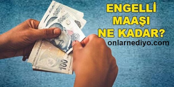 ENGELLİ AYLIĞI NEDİR? KİMLER FAYDALANABİLİR?