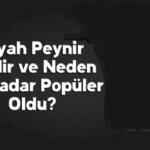 siyah-peynir-nedir-Siyah Peynirin Anlamı Nedir-Siyah Peynir Video +18 Promo İzle