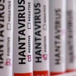 hantavirüs