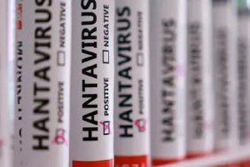 hantavirüs
