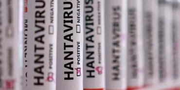 hantavirüs