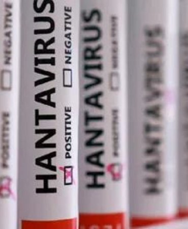 hantavirüs
