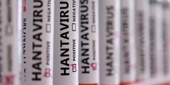 hantavirüs