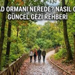 Belgrad Ormanı Nerede? Nasıl Gidilir? Güncel Gezi Rehberi