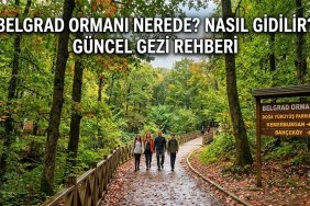 Belgrad Ormanı Nerede? Nasıl Gidilir? Güncel Gezi Rehberi