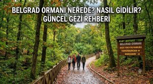 Belgrad Ormanı Nerede? Nasıl Gidilir? Güncel Gezi Rehberi