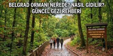 Belgrad Ormanı Nerede? Nasıl Gidilir? Güncel Gezi Rehberi
