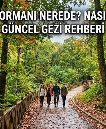 Belgrad Ormanı Nerede? Nasıl Gidilir? Güncel Gezi Rehberi