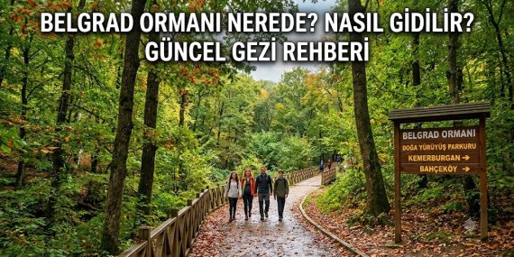 Belgrad Ormanı Nerede? Nasıl Gidilir? Güncel Gezi Rehberi