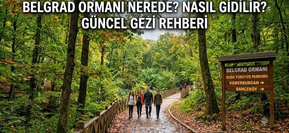 Belgrad Ormanı Nerede? Nasıl Gidilir? Güncel Gezi Rehberi