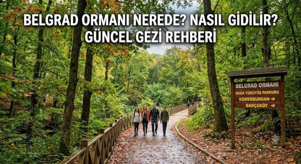 Belgrad Ormanı Nerede? Nasıl Gidilir? Güncel Gezi Rehberi